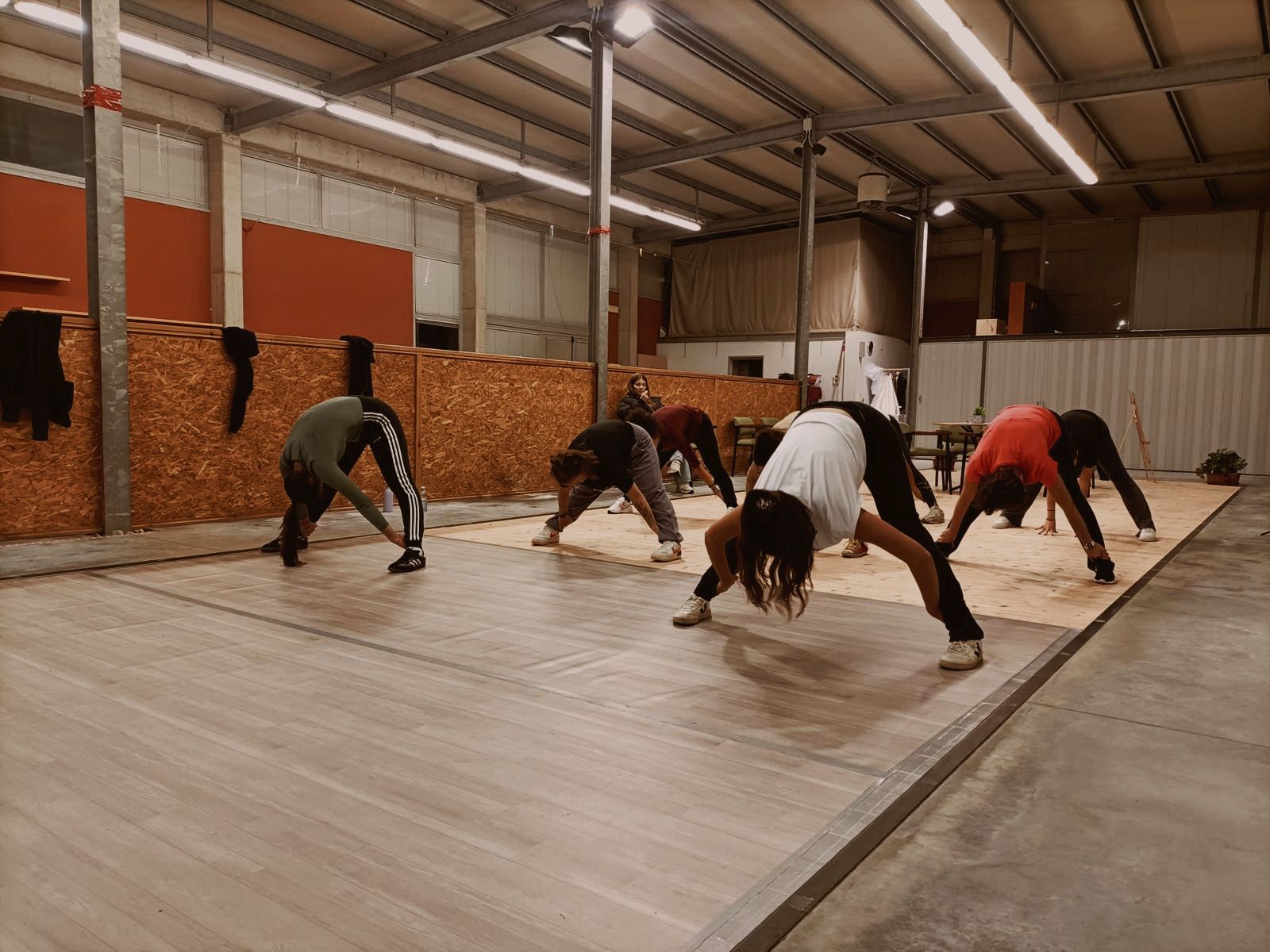 Adulti durante una lezione di dance training
